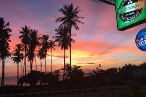 Webp.net-resizeimage (1)